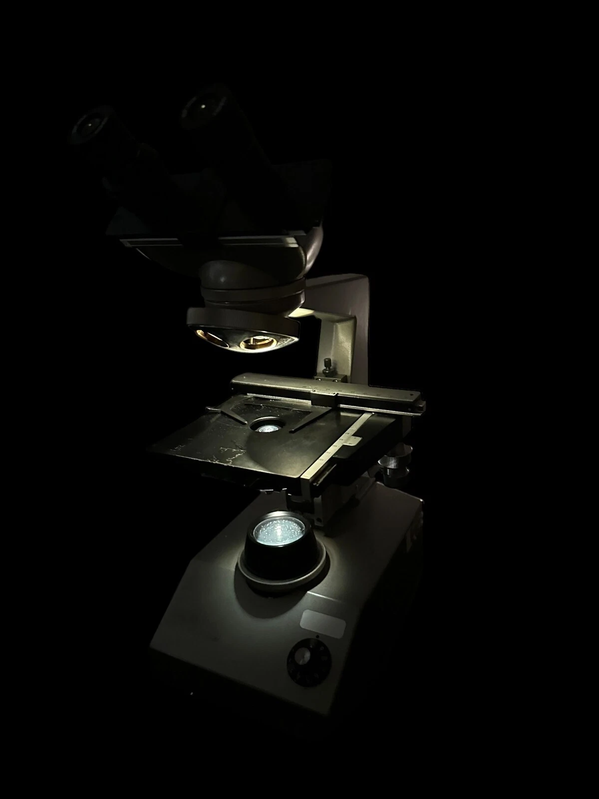 Nikon Lab Microscope - Model 625T with Binocular Viewer and Fisher 10X Lenses — photo 6 of 14