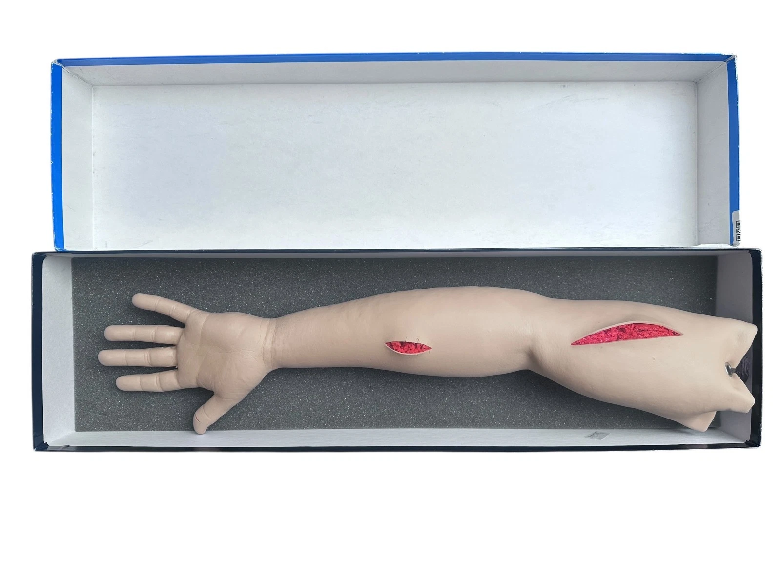 Life/form Suture Practice Arm Model SPA-01 by Nasco – Medical Training Aid