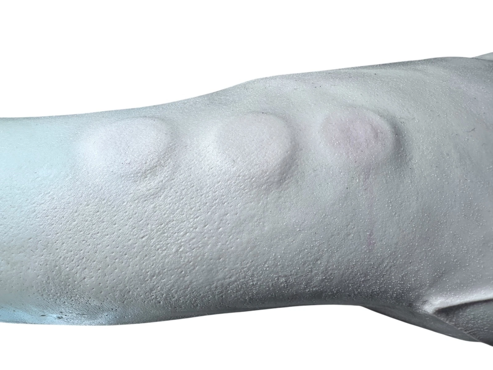 Medical Simulation Training Arm – Realistic Silicone Upper Extremity — photo 2 of 5