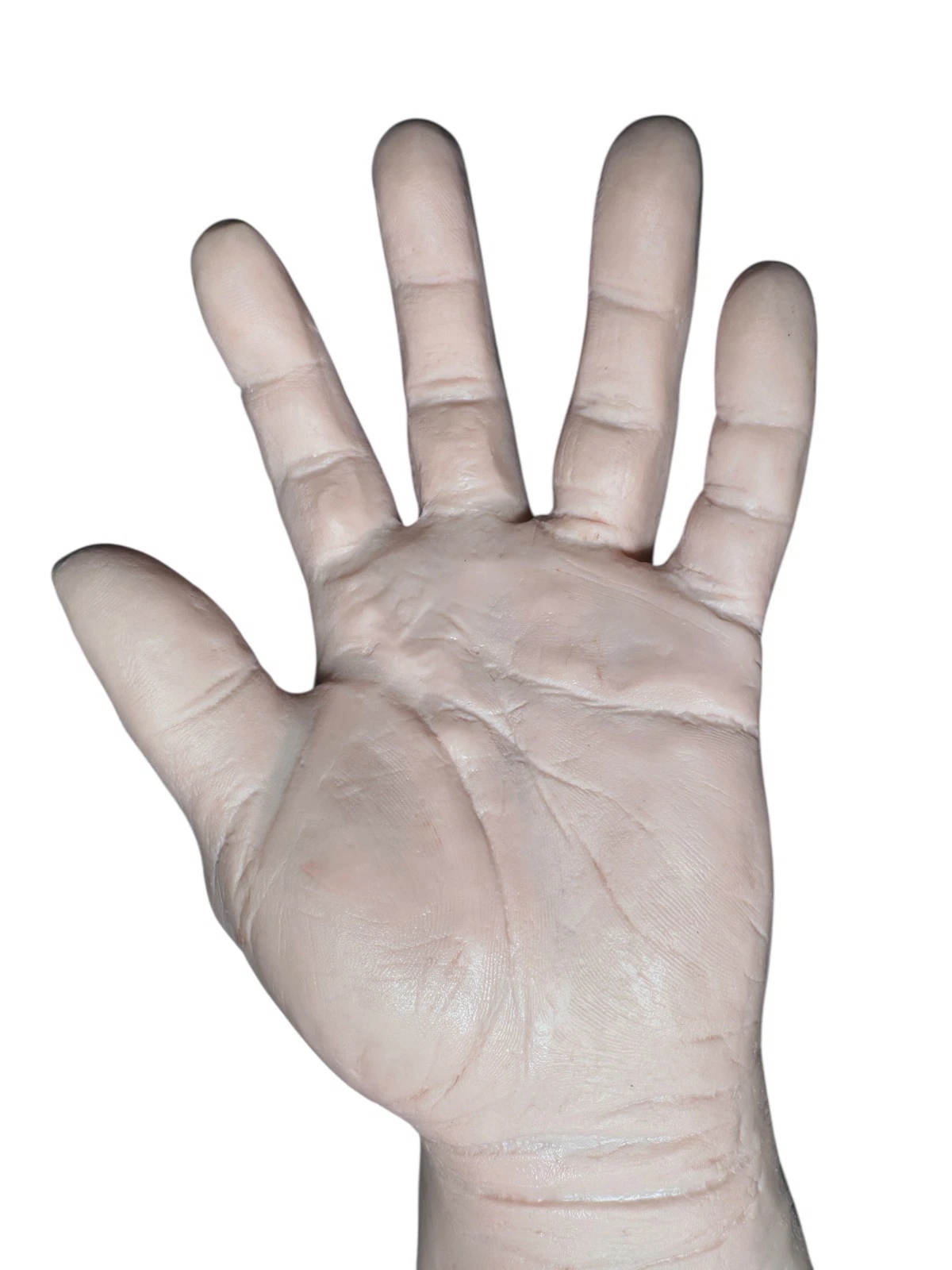 Medical Simulation Training Arm – Realistic Silicone Upper Extremity — photo 3 of 5