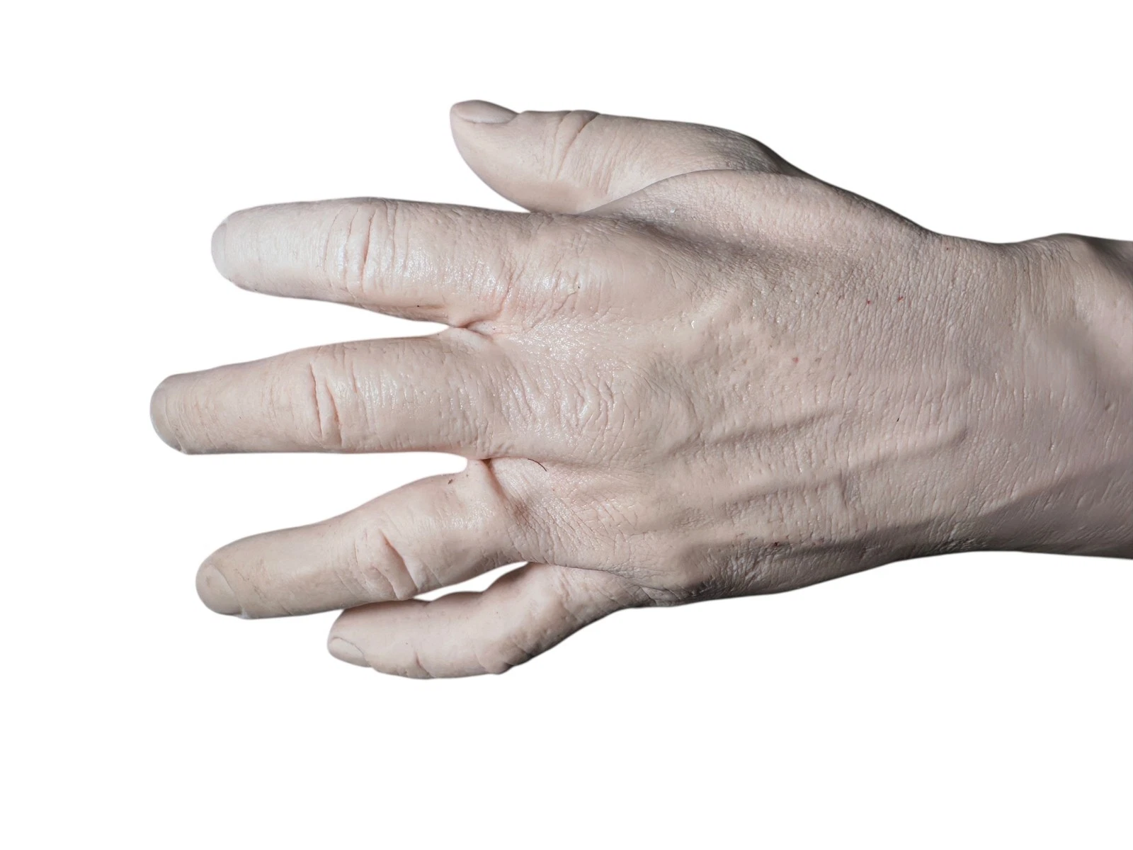 Medical Simulation Training Arm – Realistic Silicone Upper Extremity — photo 4 of 5