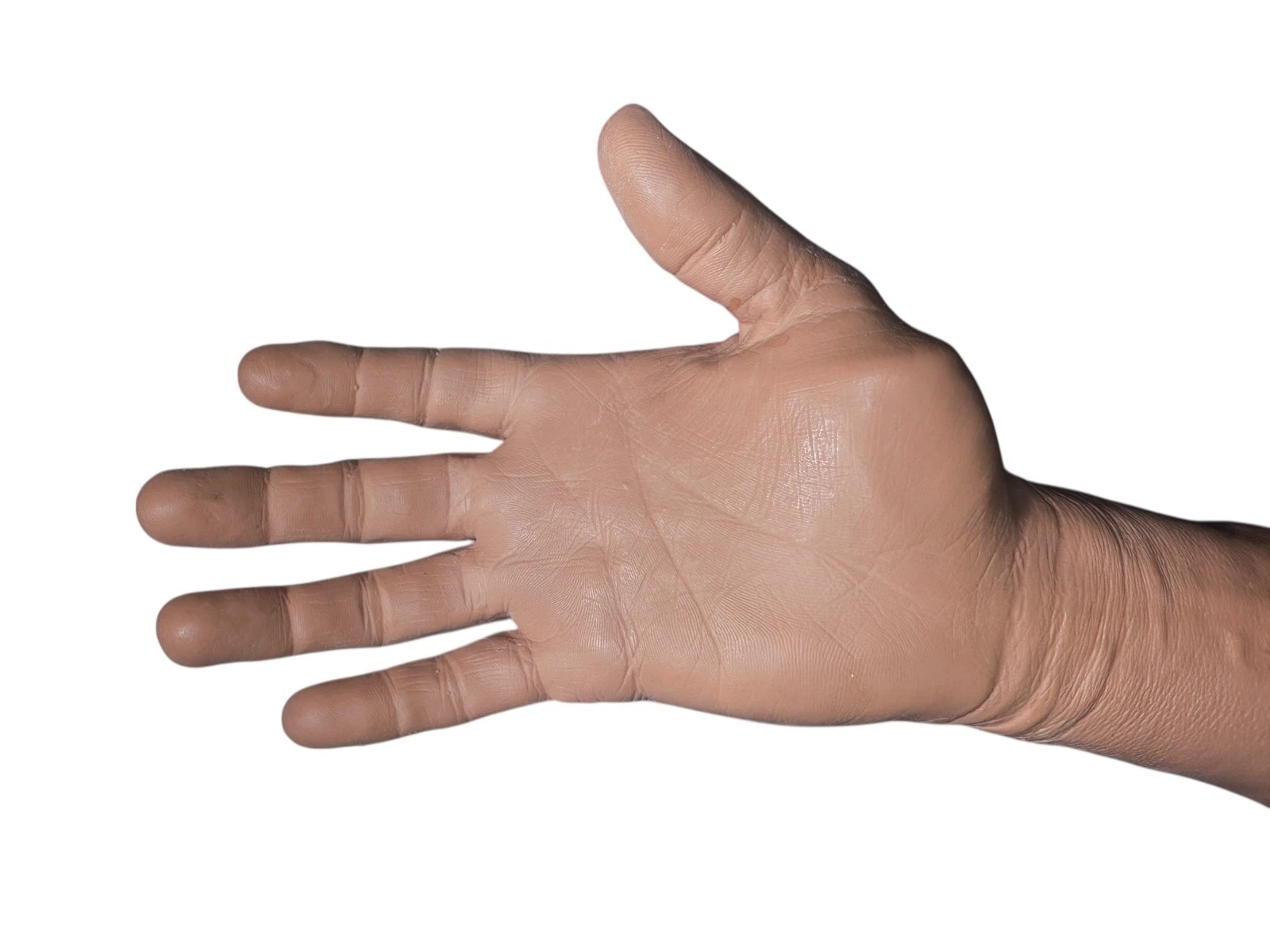 Limbs & Things Medical IV / Venipuncture Training Arm – Full-Size Simulation — photo 3 of 6
