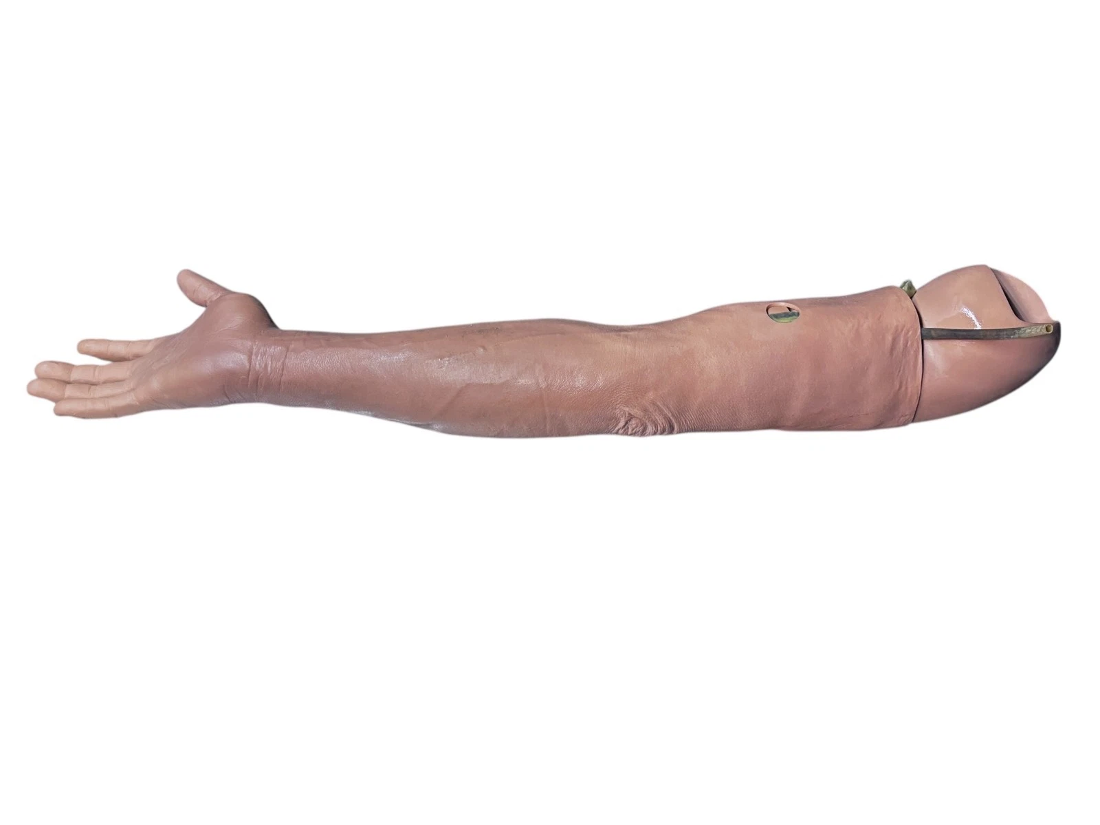 Limbs & Things Medical IV / Venipuncture Training Arm – Full-Size Simulation — photo 5 of 6