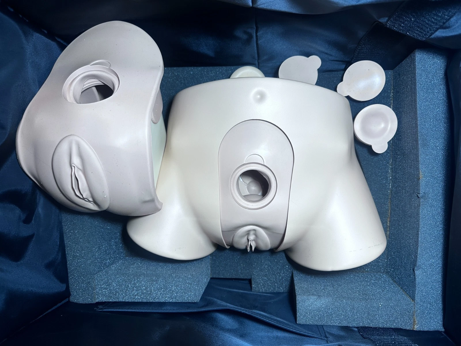 Limbs & Things Female Catheterization Simulator Trainer with Inserts & Case available from Noble Lab Trade
