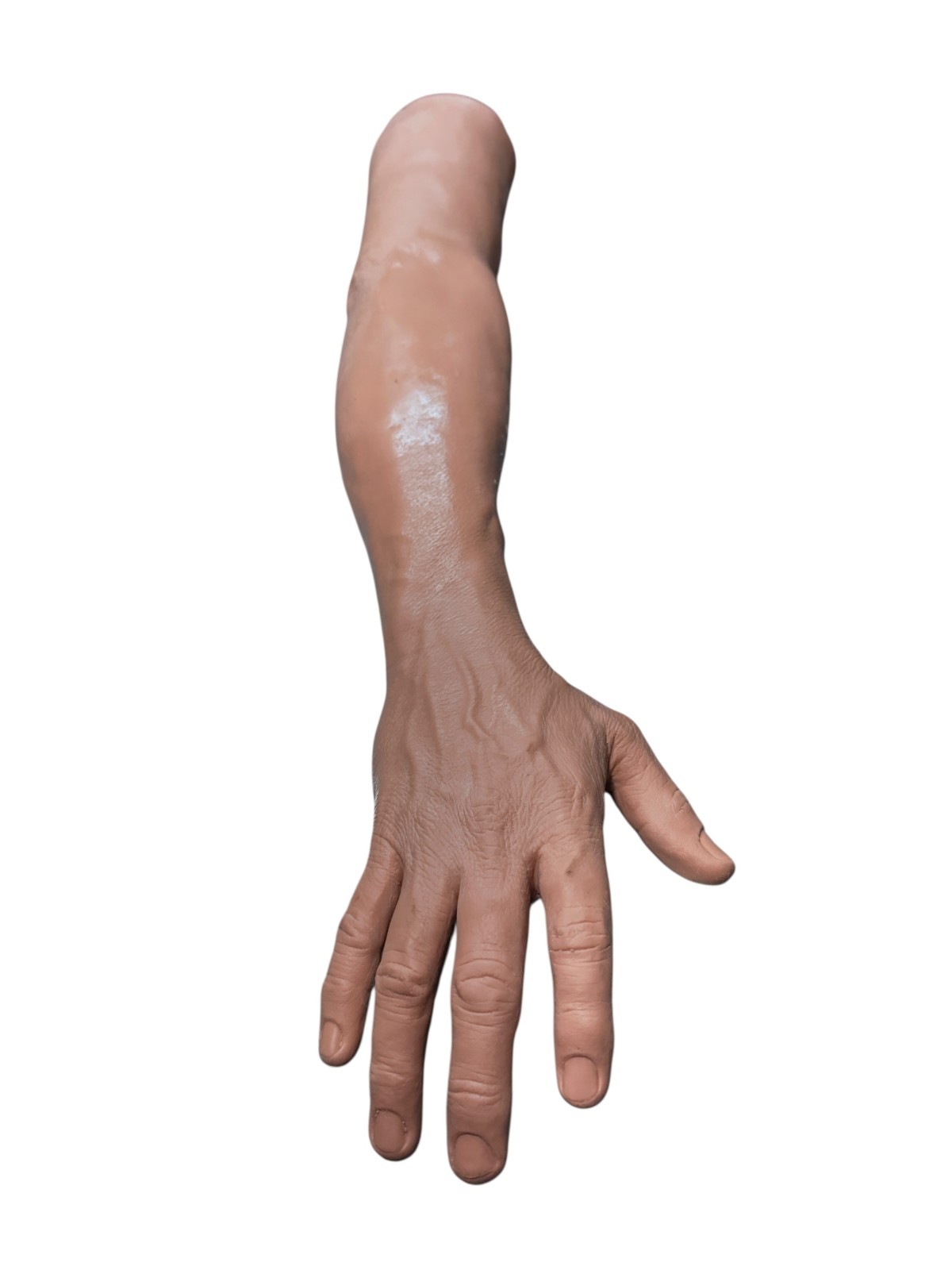 Limbs & Things Medical IV / Venipuncture Training Arm – Full-Size Simulation available from Noble Lab Trade